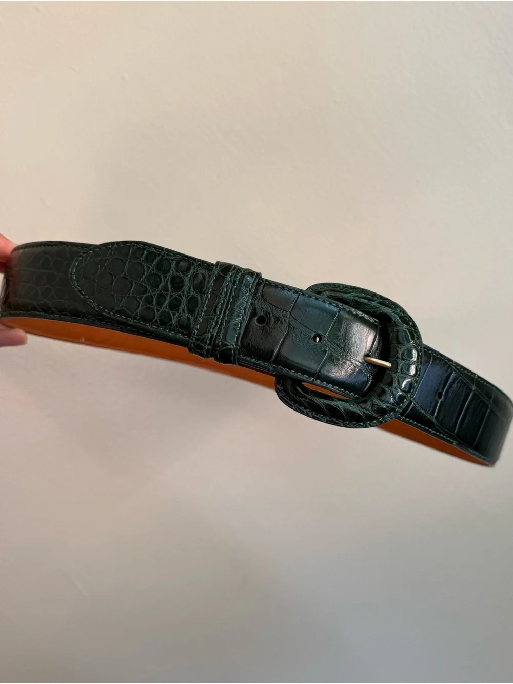 Alligator belt
